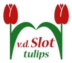 vdSlotTulipsB