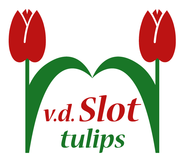 Van der Slot Tulips